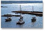 image of paphos harbour